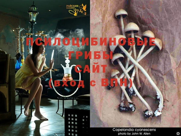 спайс Верея