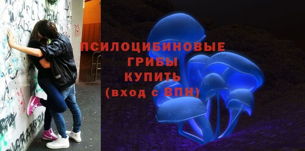 спайс Верея