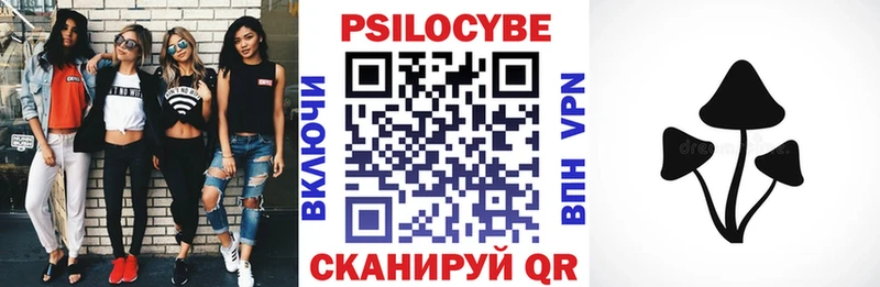 Псилоцибиновые грибы мицелий  Купить где  Мичуринск 